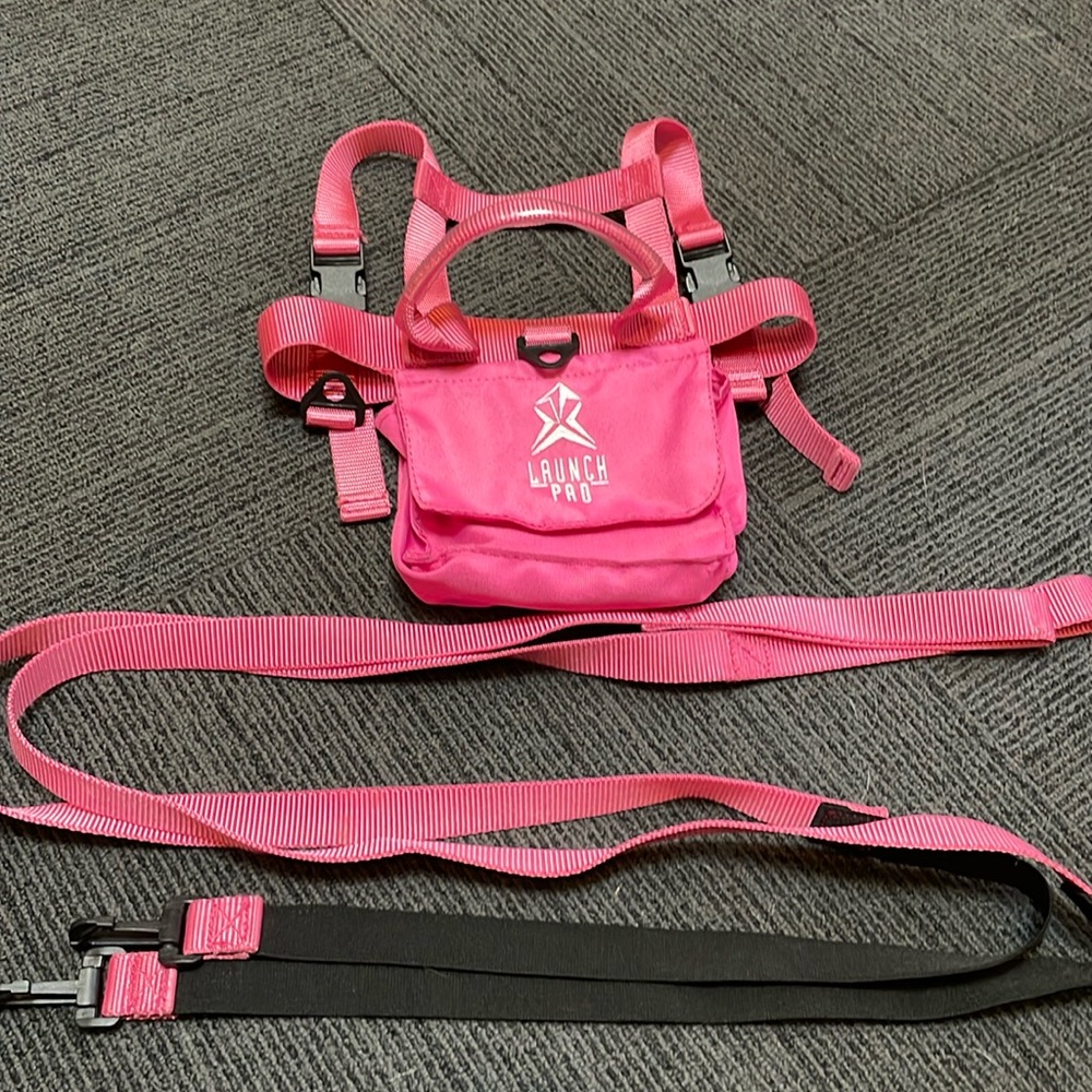 Launch Pad ski/snowboarding harness, pink